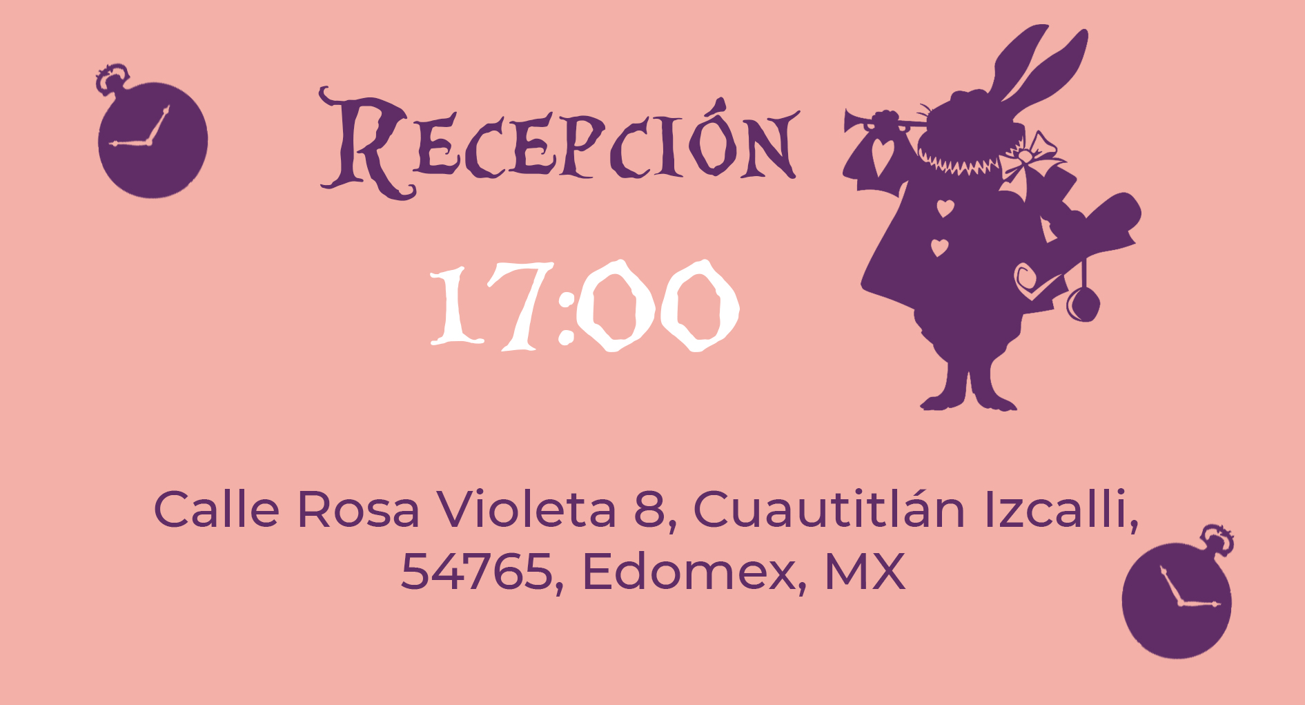 recepcion 1
